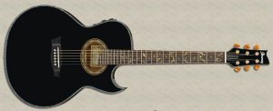 Guitarra acústica Steve Vai Signature Euphoria
